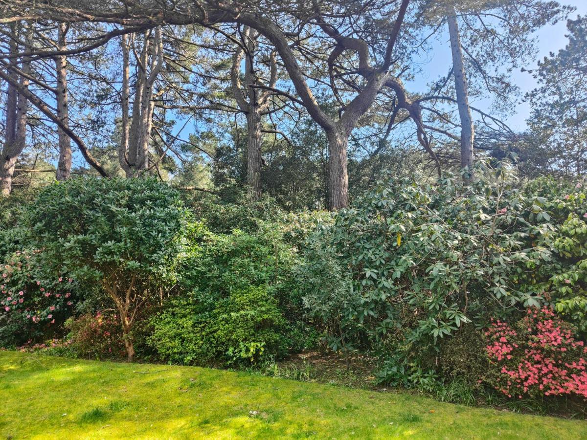 Peaceful Getaway In Forested Park Bournemouth Esterno foto