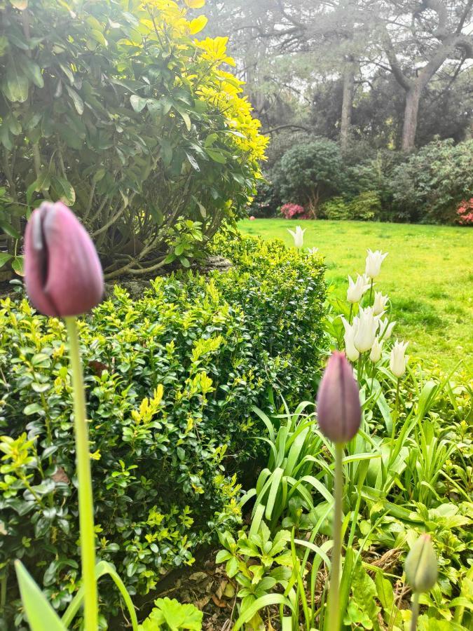 Peaceful Getaway In Forested Park Bournemouth Esterno foto